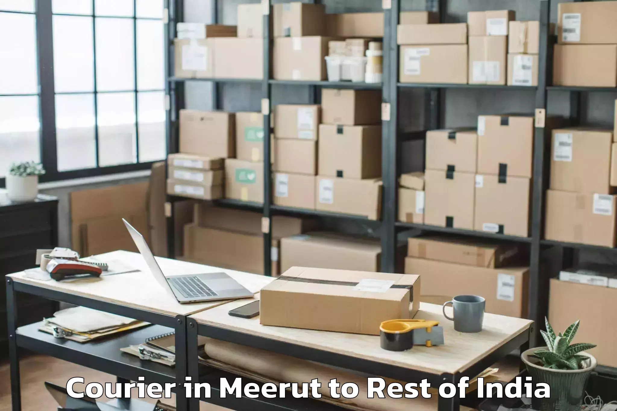 Hassle-Free Meerut to Gelling Courier